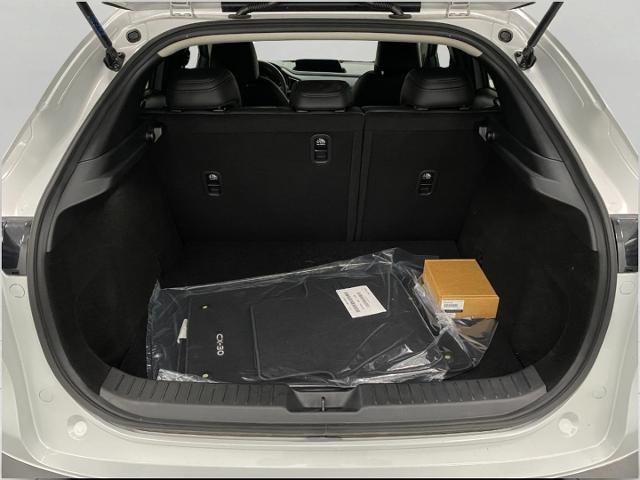 2025 Mazda CX-30 Vehicle Photo in Appleton, WI 54913