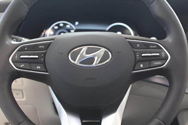 2020 Hyundai PALISADE Vehicle Photo in Green Bay, WI 54304