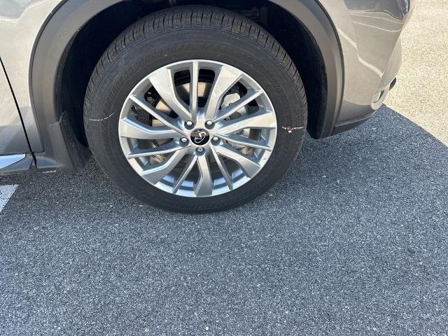 2024 INFINITI QX50 Vehicle Photo in San Antonio, TX 78230