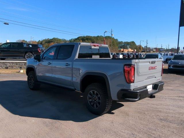 2025 GMC Sierra 1500 Vehicle Photo in ALBERTVILLE, AL 35950-0246