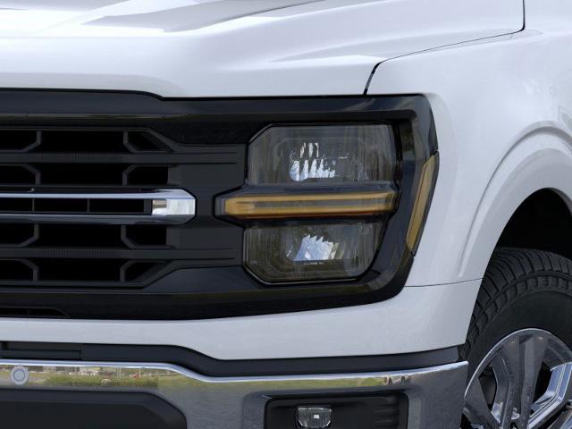 2025 Ford F-150 Vehicle Photo in Winslow, AZ 86047-2439