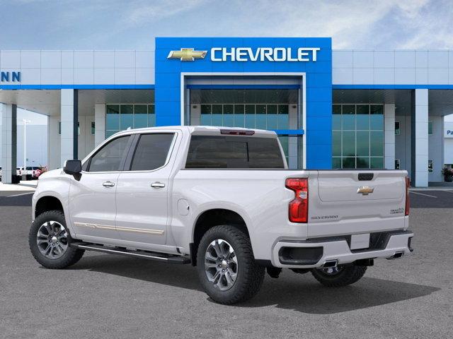 2025 Chevrolet Silverado 1500 Vehicle Photo in SELMA, TX 78154-1460