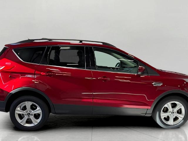 2013 Ford Escape Vehicle Photo in Green Bay, WI 54304