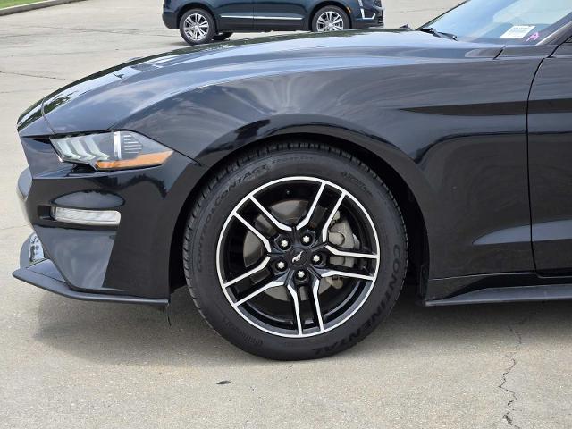 2022 Ford Mustang Vehicle Photo in DENTON, TX 76210-9321