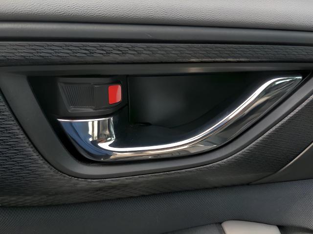2024 Subaru Outback Vehicle Photo in Green Bay, WI 54304