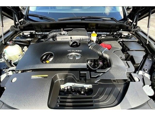 2023 INFINITI QX50 Vehicle Photo in San Antonio, TX 78230
