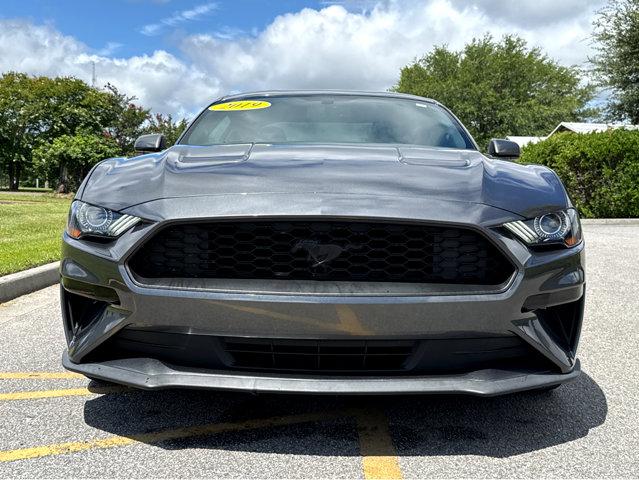 2019 Ford Mustang Vehicle Photo in Hinesville, GA 31313