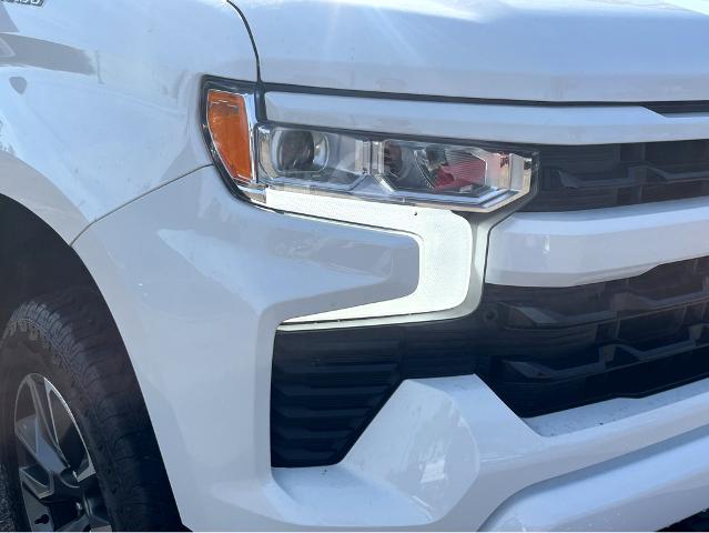 2022 Chevrolet Silverado 1500 Vehicle Photo in BEAUFORT, SC 29906-4218