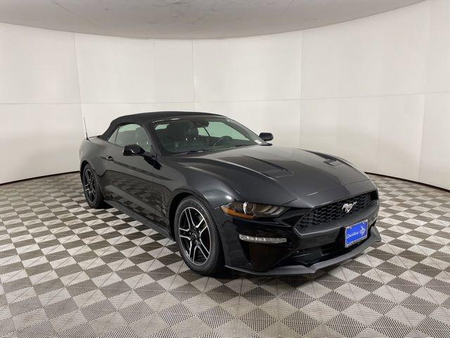 2022 Ford Mustang Vehicle Photo in PHOENIX, AZ 85014-3381