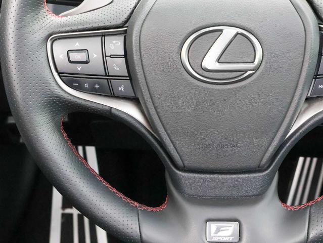 2024 Lexus UX 250h Vehicle Photo in Dallas, TX 75209