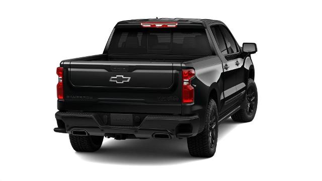 2025 Chevrolet Silverado 1500 Vehicle Photo in Gaffney, SC 29341