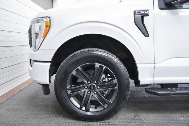 2021 Ford F-150 Vehicle Photo in Akron, OH 44312