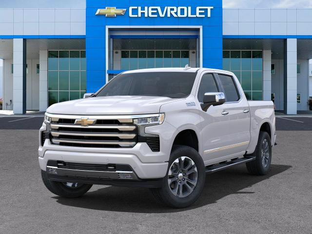 2025 Chevrolet Silverado 1500 Vehicle Photo in SELMA, TX 78154-1460