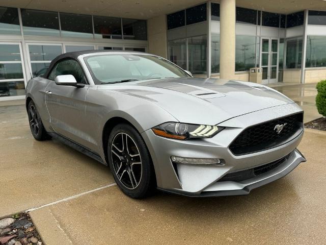 2023 Ford Mustang Vehicle Photo in San Antonio, TX 78230