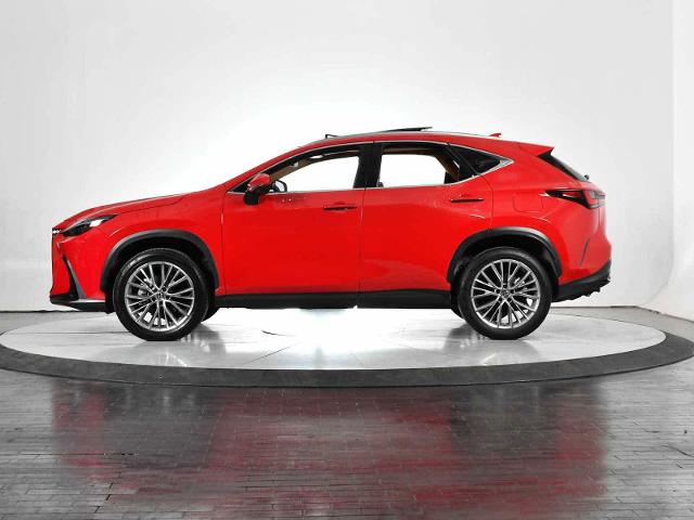 2022 Lexus NX 350 Vehicle Photo in DALLAS, TX 75235