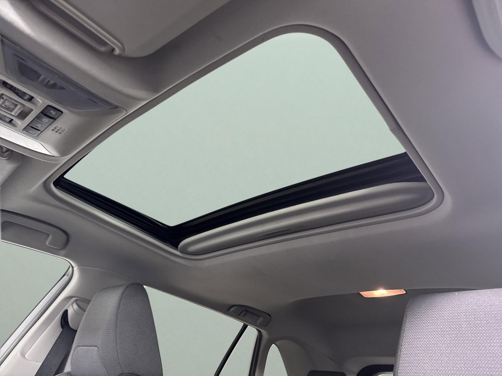 2019 Toyota RAV4 Vehicle Photo in GEORGETOWN, TX 78626-7508