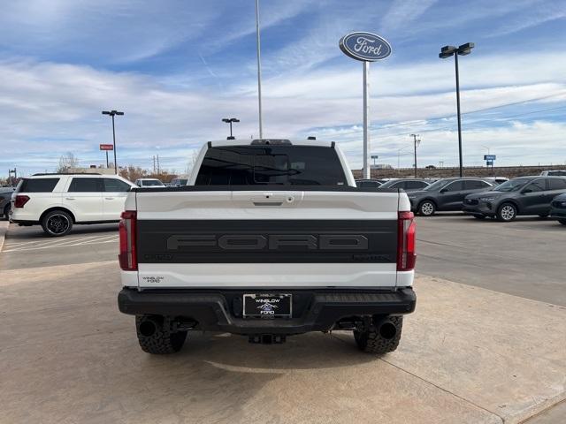 2024 Ford F-150 Vehicle Photo in Winslow, AZ 86047-2439