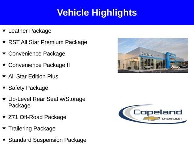2025 Chevrolet Silverado 1500 Vehicle Photo in BROCKTON, MA 02301-7113