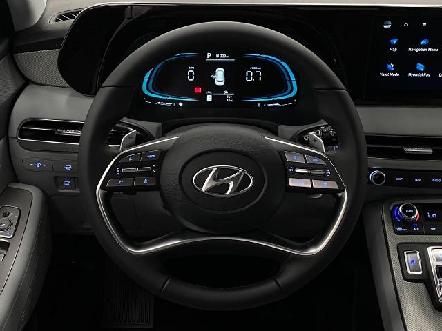 2025 Hyundai PALISADE Vehicle Photo in Appleton, WI 54913