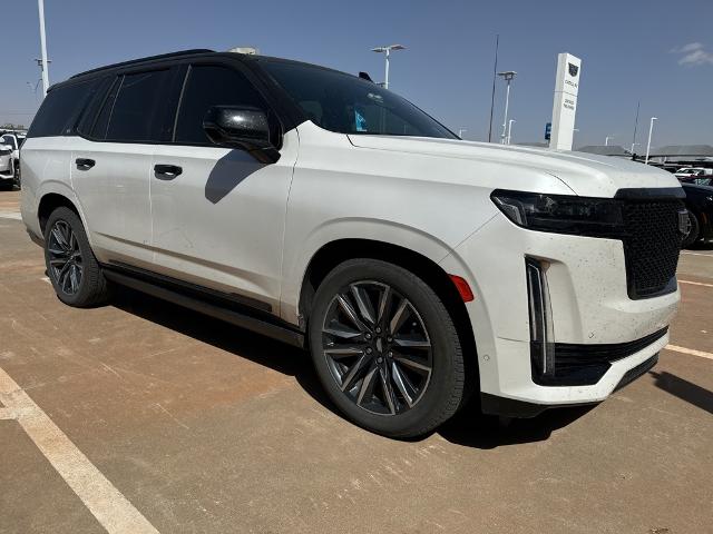 2021 Cadillac Escalade Vehicle Photo in Oklahoma City, OK 73114