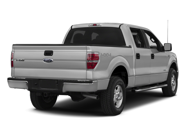 2014 Ford F-150 Vehicle Photo in San Antonio, TX 78230