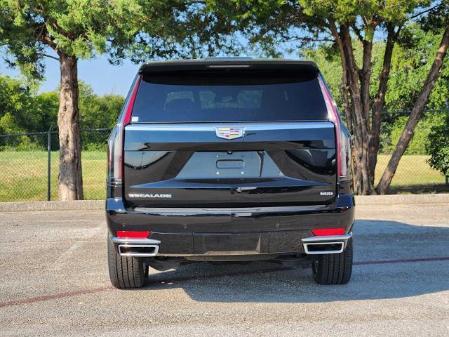 2022 Cadillac Escalade Vehicle Photo in DENTON, TX 76210-9321