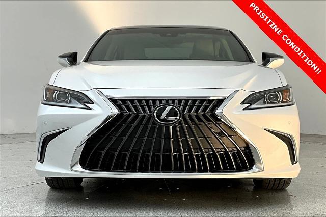 2023 Lexus ES 350 Vehicle Photo in Grapevine, TX 76051