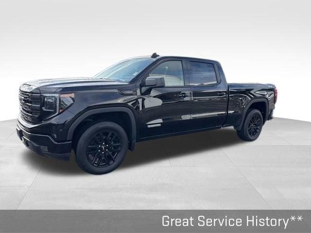 2024 GMC Sierra 1500 Vehicle Photo in Fishers, IN 46038