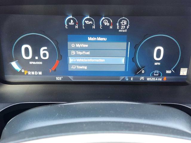 2024 Ford Expedition Vehicle Photo in DENTON, TX 76210-9321