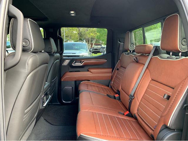 2025 GMC Sierra 1500 Vehicle Photo in BEAUFORT, SC 29906-4218