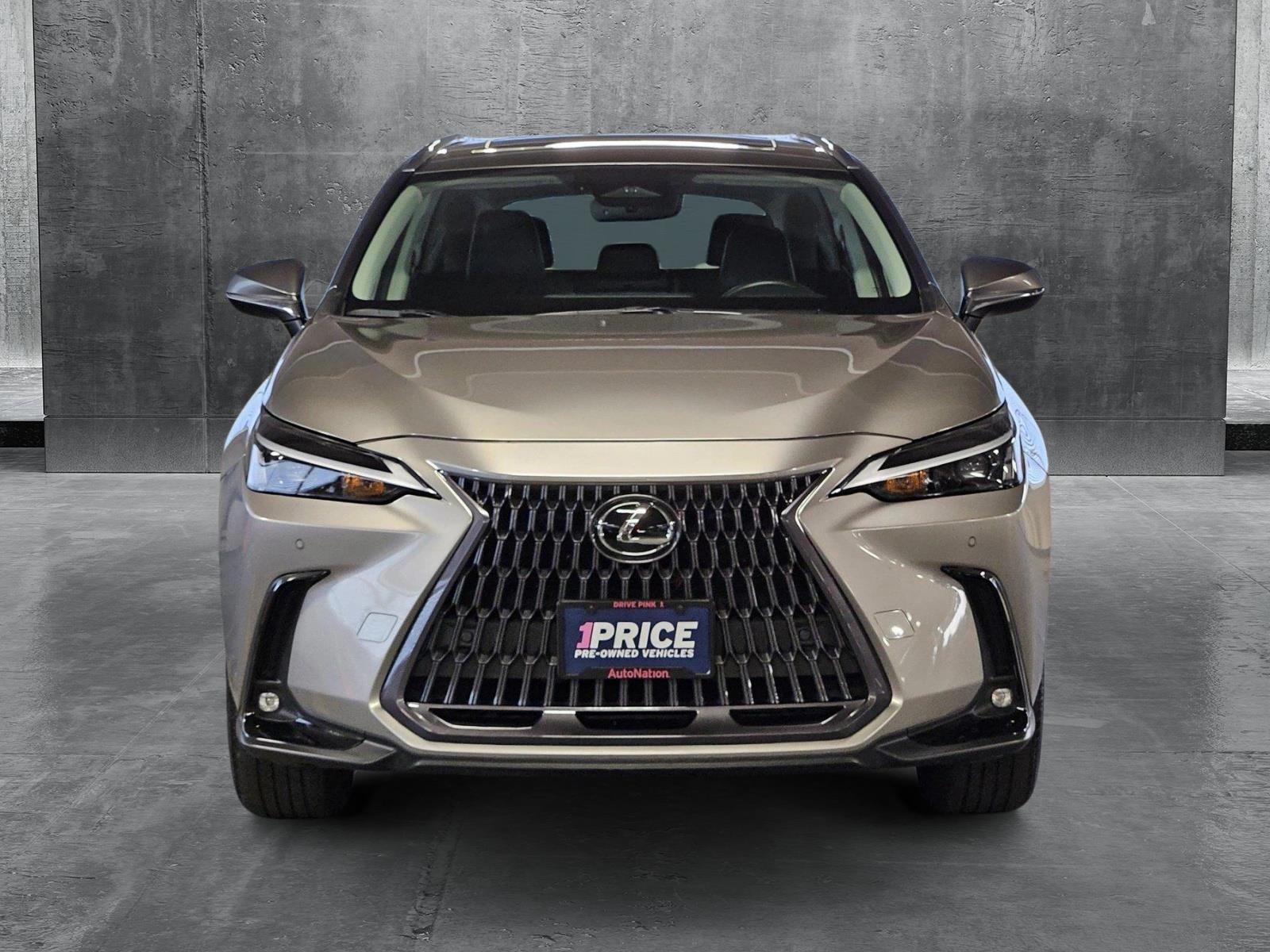 2022 Lexus NX Vehicle Photo in WACO, TX 76710-2592