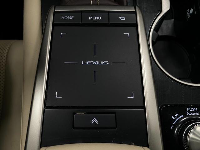 2020 Lexus RX 350 Vehicle Photo in Appleton, WI 54913