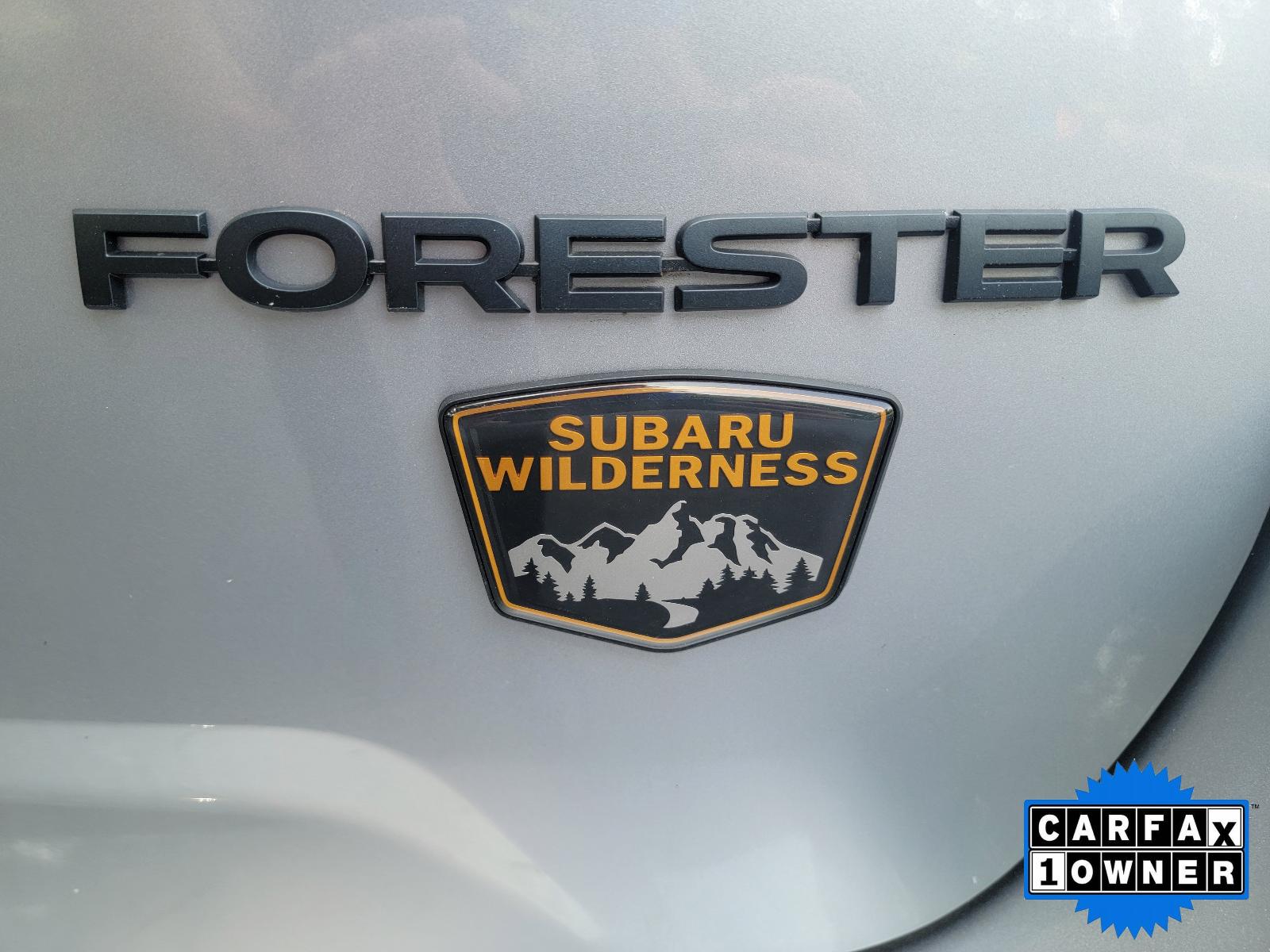 2024 Subaru Forester Vehicle Photo in Harrisburg, PA 17111
