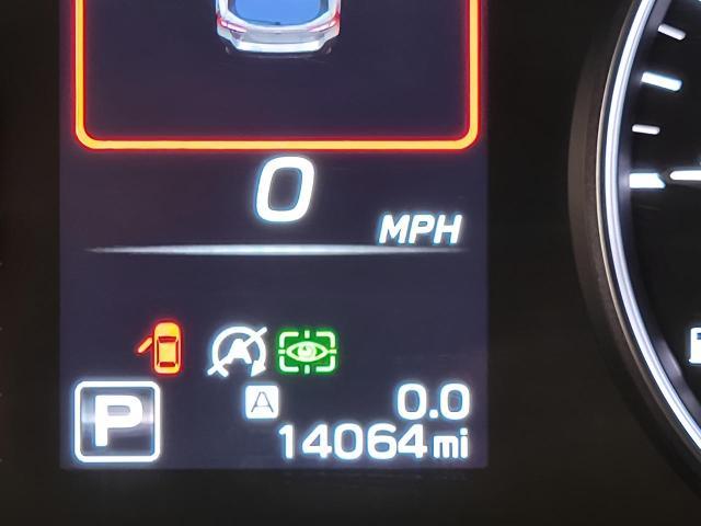 2024 Subaru Outback Vehicle Photo in Green Bay, WI 54304