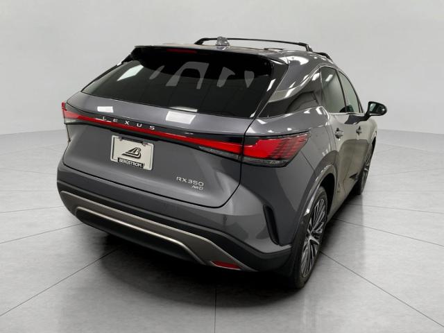 2023 Lexus RX 350 Vehicle Photo in Appleton, WI 54913