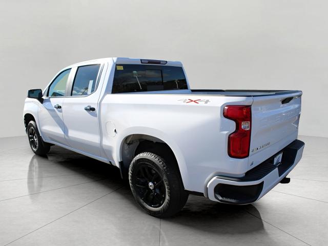 2019 Chevrolet Silverado 1500 Vehicle Photo in MADISON, WI 53713-3220