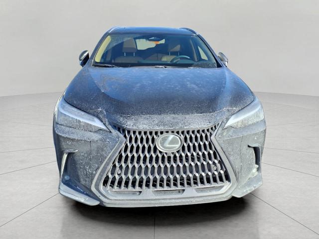 2025 Lexus NX 350 Vehicle Photo in Oshkosh, WI 54904