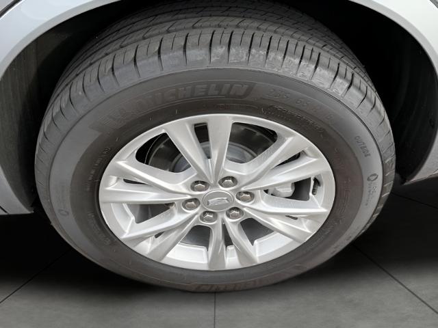 2024 Cadillac XT6 Vehicle Photo in GREEN BAY, WI 54303-3330
