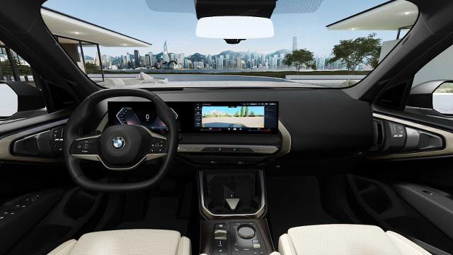 2025 BMW X3 30 xDrive Vehicle Photo in GRAPEVINE, TX 76051