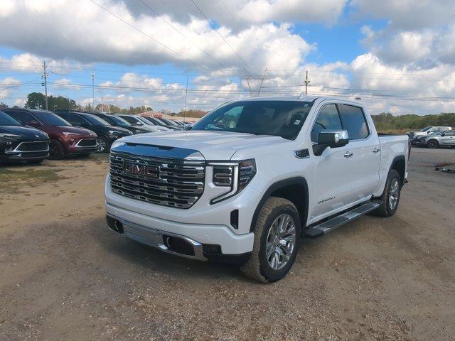 2025 GMC Sierra 1500 Vehicle Photo in ALBERTVILLE, AL 35950-0246