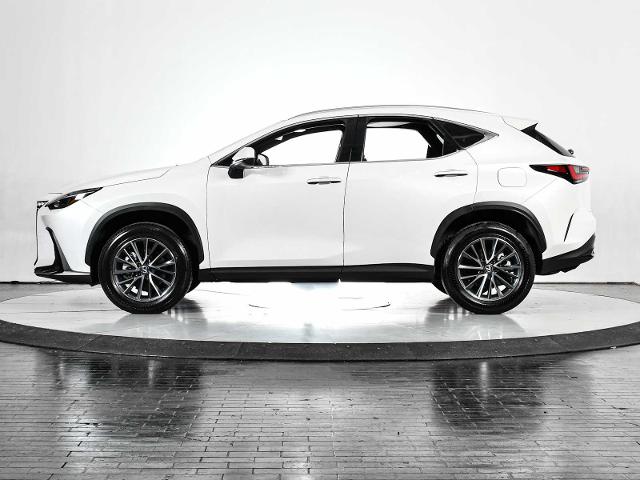 2025 Lexus NX 250 Vehicle Photo in DALLAS, TX 75235