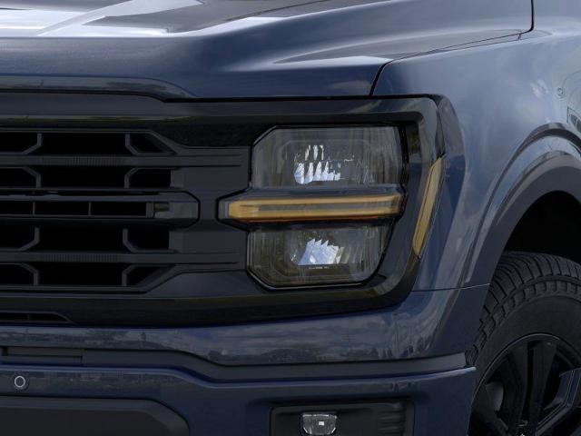 2025 Ford F-150 Vehicle Photo in Weatherford, TX 76087