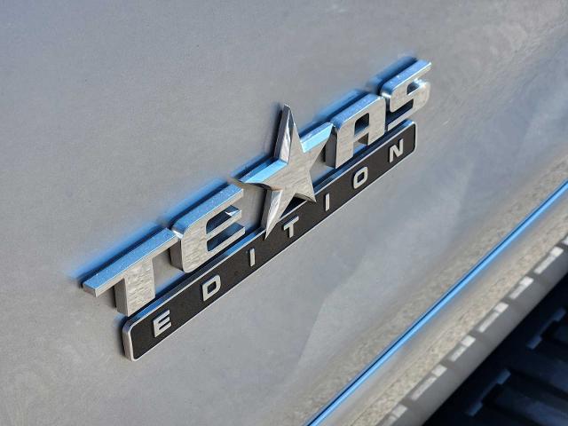 2017 Chevrolet Silverado 1500 Vehicle Photo in DENTON, TX 76210-9321