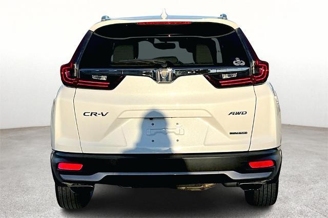 2022 Honda CR-V Vehicle Photo in Grapevine, TX 76051