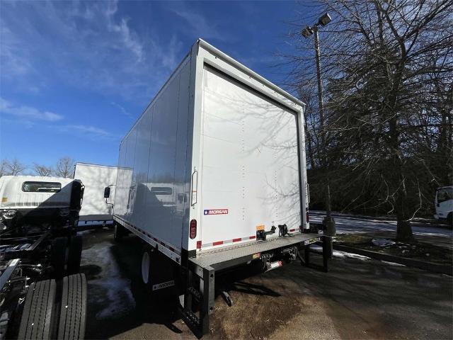 2024 Chevrolet Low Cab Forward 4500 Vehicle Photo in ALCOA, TN 37701-3235