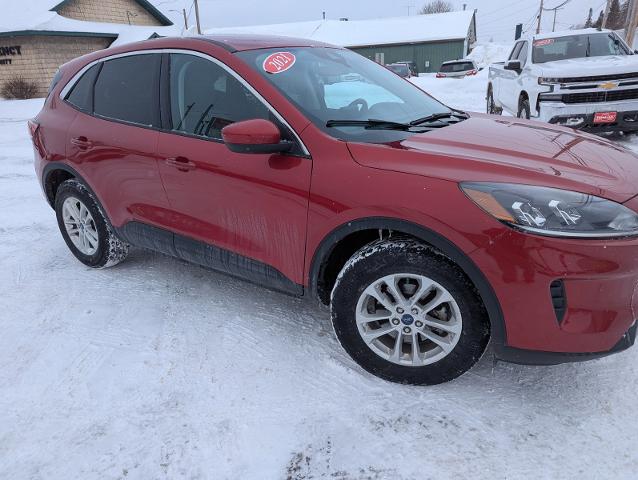 Used 2021 Ford Escape SE with VIN 1FMCU9G64MUA09729 for sale in Rose City, MI