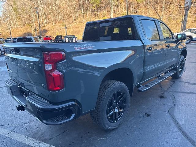 2025 Chevrolet Silverado 1500 Vehicle Photo in MARION, NC 28752-6372