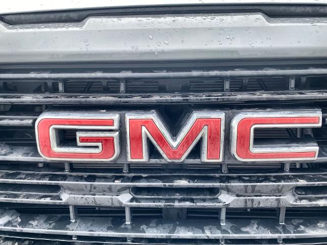 2024 GMC Sierra 1500 Vehicle Photo in WILLIAMSVILLE, NY 14221-2883