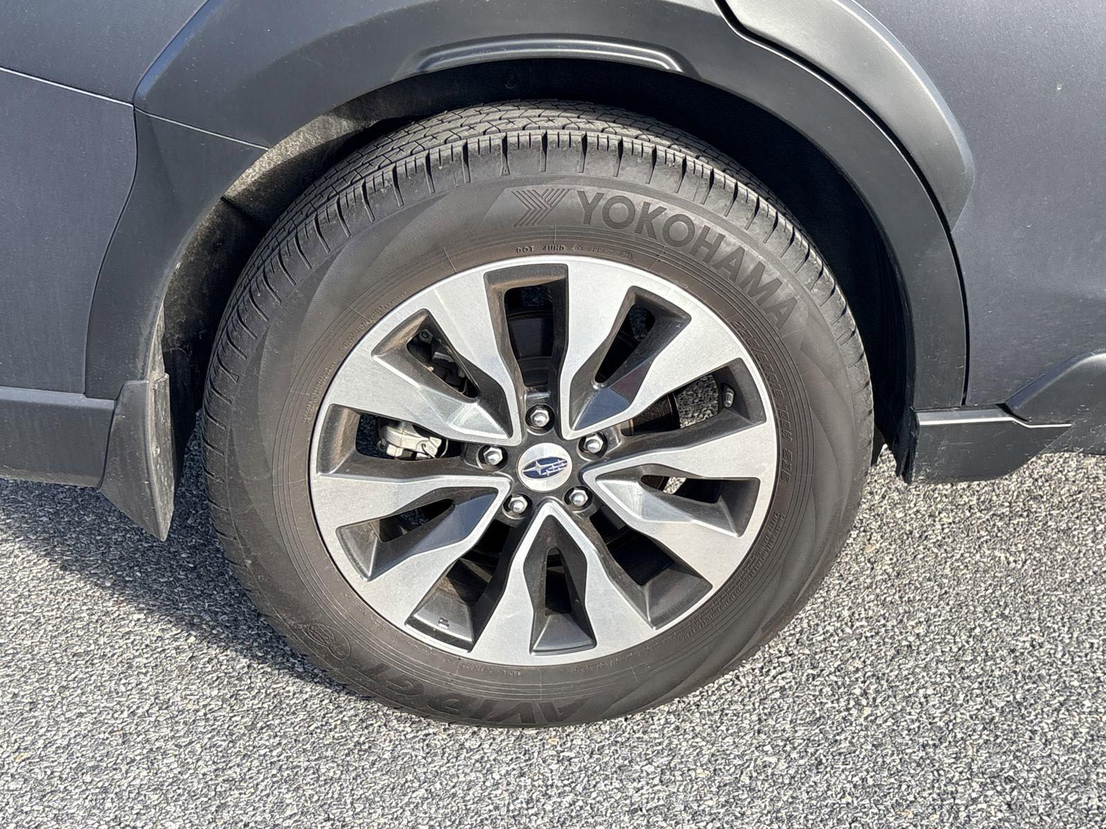 2024 Subaru Outback Vehicle Photo in Mechanicsburg, PA 17050