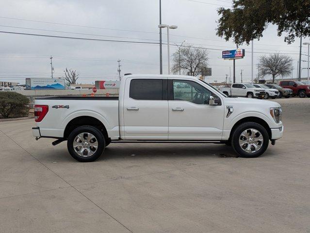 2022 Ford F-150 Vehicle Photo in SELMA, TX 78154-1459